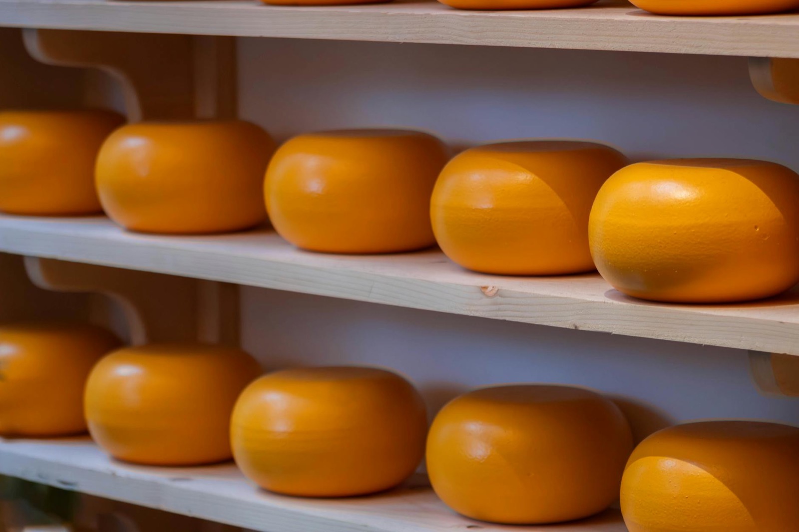 Gouda